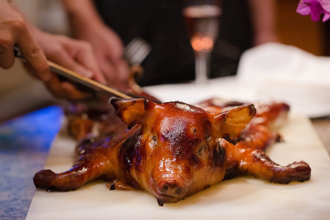 roast suckling pig, suckling pig, pig-2480295.jpg